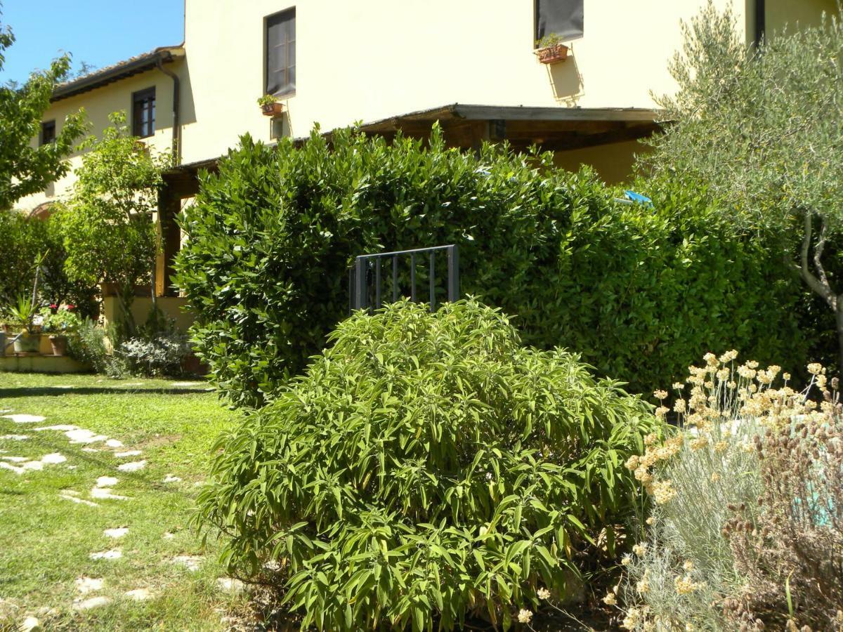Casa Di Campagna Maglianello バルベリーノ・ヴァル・デルサ エクステリア 写真